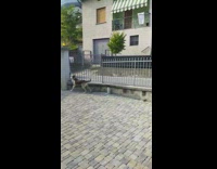 Dog spins around and tries to chase car 