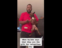 Guy carrying brown dog makes it point