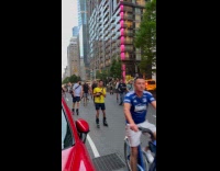 Collab WINY - Turkey standing on cars windshield Skaters and cyclists takes over street 
