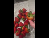Girl picks up strawberry looks like face smells