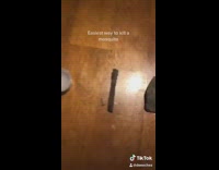 BitchMP - Easiest way to kill a mosquito