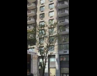 Blue shorts guy cleans apartment window 