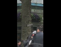 Guy Wears Pet Parrot on His Shoulder 