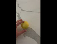 Person hold perfectly round lemon table hand