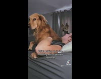 Woman wakes up with dog on top of her
