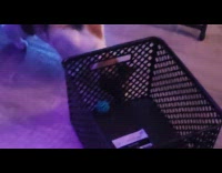 Calico cat push basket with ball inside