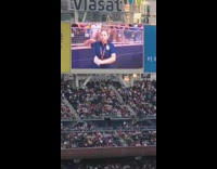 Lady dances to music at baseball game 