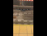 Guy throws chicken drumstick bone into subway train tracks for rats to eat