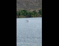 Pilot dad drives plane visit son fishing 