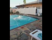 Black shorts guy backflips into pool backyard