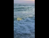 Boy flips off boogieboard in slomo 