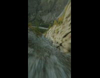 Fast drone footage flying through a valley  flies into a tree branch