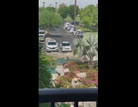 Girl pink bra yoga sit rock garden