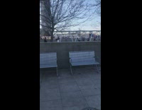 People at park move in sync for workout 