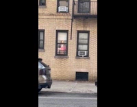 Creepy dolls displayed in the apartment window