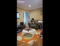 Woman pretend to drop tea prank mom 