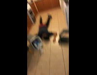 NSFW Black Shirt Drunk Guy Punches Trash Can In Kitchen And Falls Down