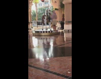 Lady kisses horse statue for photo