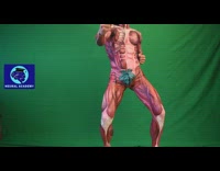 Man painted in acrylic paint human anatomy