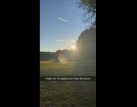 Person walk on park early morning bliss