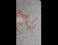 Guy makes shoes for cat using fur 