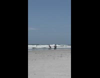 Woman in bikini sexy poses at the beach shore