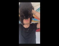 Guy uses cat and puts on head to look like batman mask 
