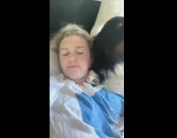 Big dog insulted by brat comment 