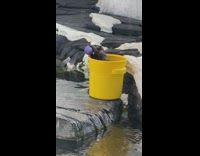 Otter in a yellow bucket with a ball at sea world