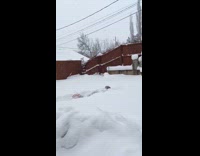 Guy swims in snow storm