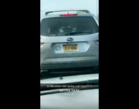 2 guys get out of car and cross freeway for baseball 