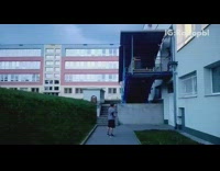 guy flips off balcony lands in bushes next to other man