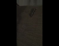 Brown hamster slides down couch cushion girl 