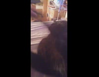 Guy flicks face of black cat 