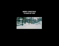 Collab AnimalIG - Woman plays the accordion while the animals follow on the snowy yard