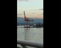Man sings Jurassic park theme construction cranes
