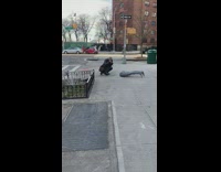 Mannequin butt photoshoot 