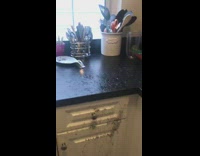 Aftermath of backed up sewage line kitchen 