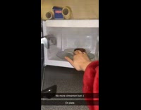 Collab ClipsIG - Girl pulls out burnt cinnamon bun