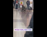 Guy brown grey rat costume subway station
