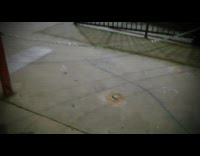 Man jumps on chain hits head on skateboard