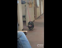 Collab KaleSaladIG - Thicc Boi Vet