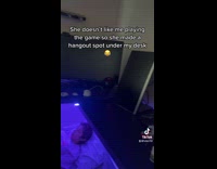 Girlfriend studies under purple light desk no games