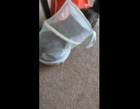 Pet cat enters the white laundry basket and stays inside