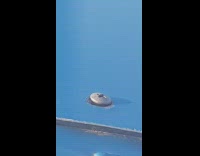 Collab BitchMP - Loose bolt on private blue plane flying 