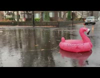 Pink flamingo tube float on ground rain 