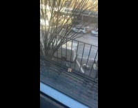 Person finds Yolo toast 