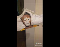 Collab KaleSaladIG - Girl paints Kobe Bryant on white shoes