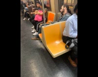 Man holds pet iguana on train ride