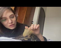 Woman pets bird yellow black feathers